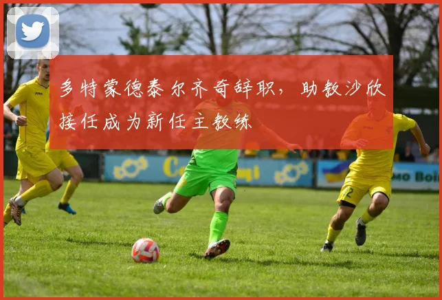 多特蒙德泰尔齐奇辞职，助教沙欣接任成为新任主教练